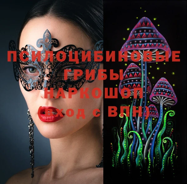сатива Абинск