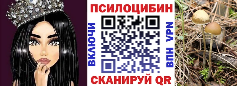 Псилоцибиновые грибы прущие грибы  купить наркоту  Старый Крым 